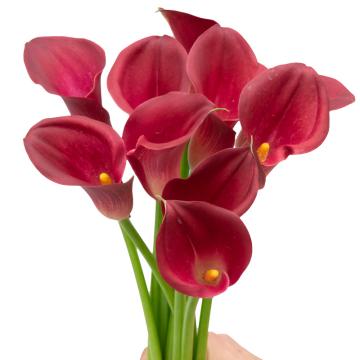 Könst Calla Bordeaux Art Pink Red Calla Flowers